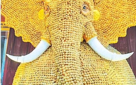 २१ हजार पाणिपुरीपासून साकारला गणपती बाप्पा